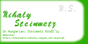 mihaly steinmetz business card